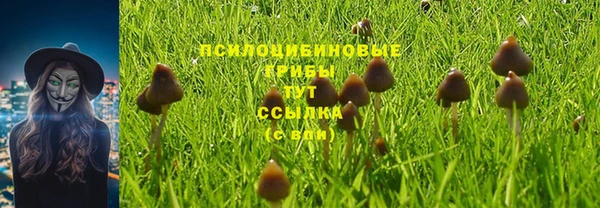 apvp Ладушкин