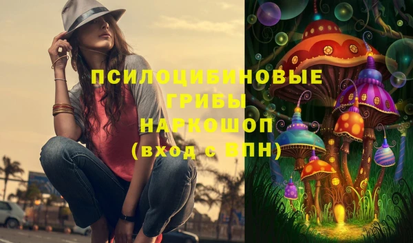 соль ск Лабытнанги