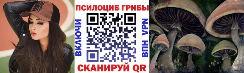 даркнет сайт  Усинск  Псилоцибиновые грибы мухоморы 